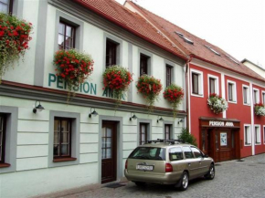 Гостиница Pension Anna  Чешский Крумлов